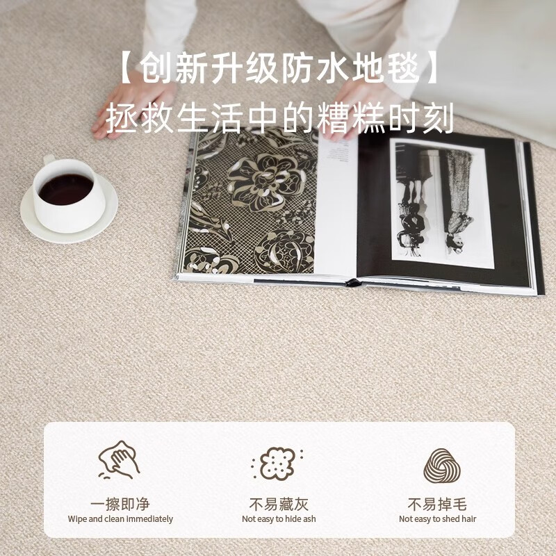 鸿荔达地毯客厅卧室2026新款床边免洗可擦房间防水免打理轻奢高级感地垫 圈绒-黑方公园-透气款 200×300cm【4人沙发通用店长推荐尺寸】