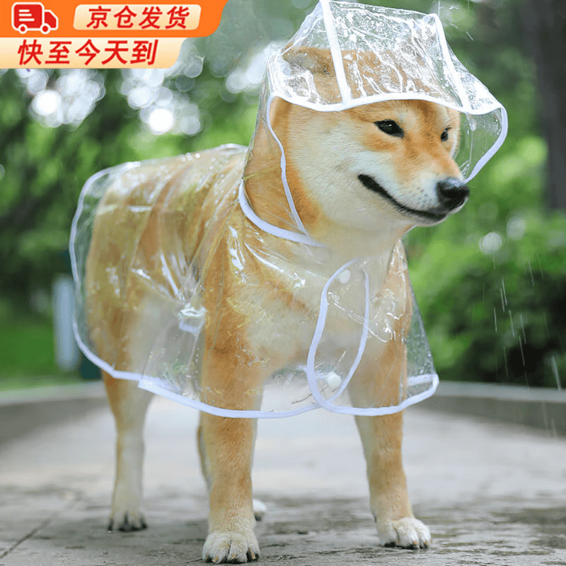 欢刻狗狗雨衣中大型犬宠物雨衣泰迪柴犬小型犬柯基金毛雨披防水透明 2XL(建议21-27斤背长40cm）
