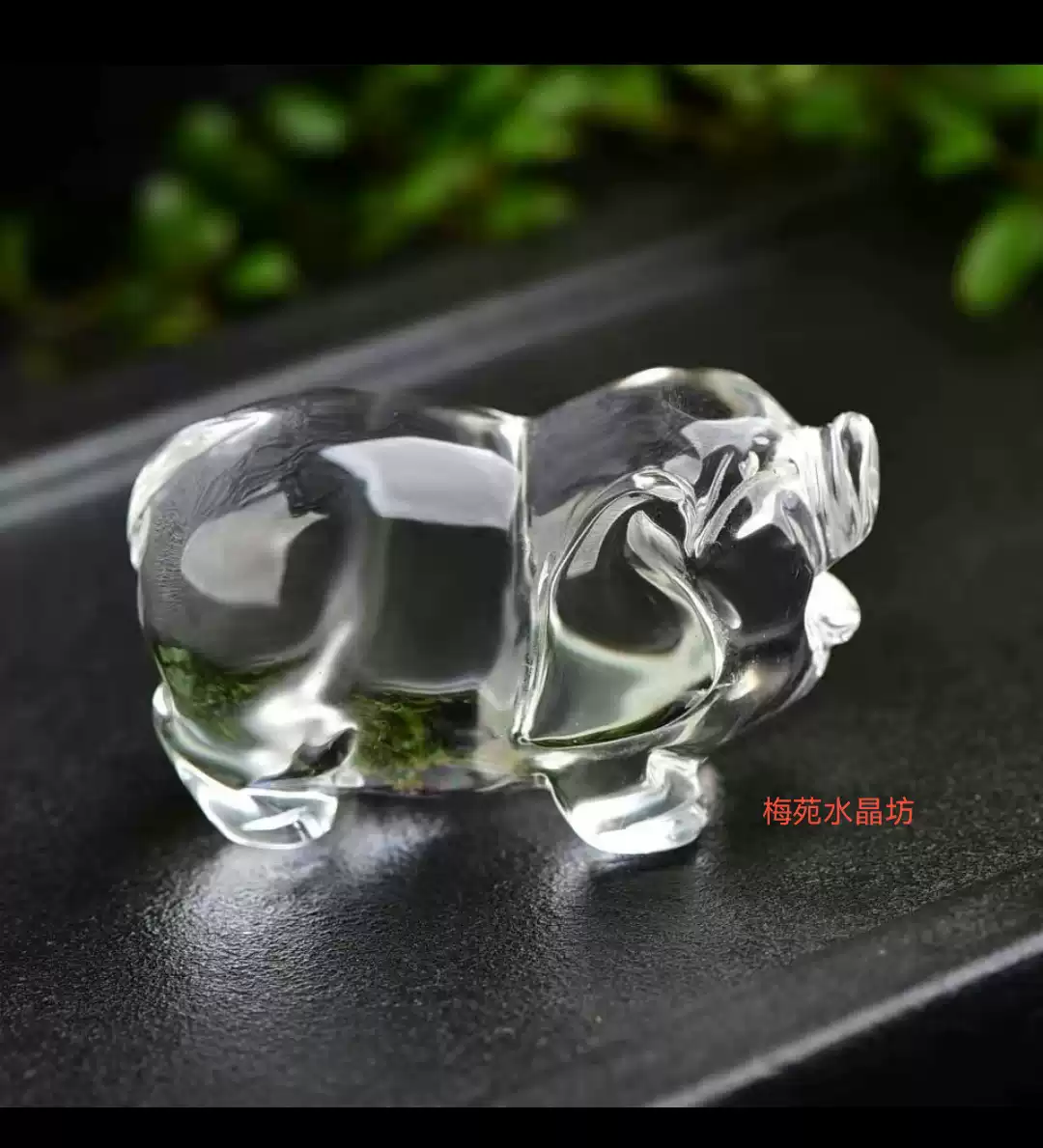 猪生肖10年风水运势查询(猪人十年运势)