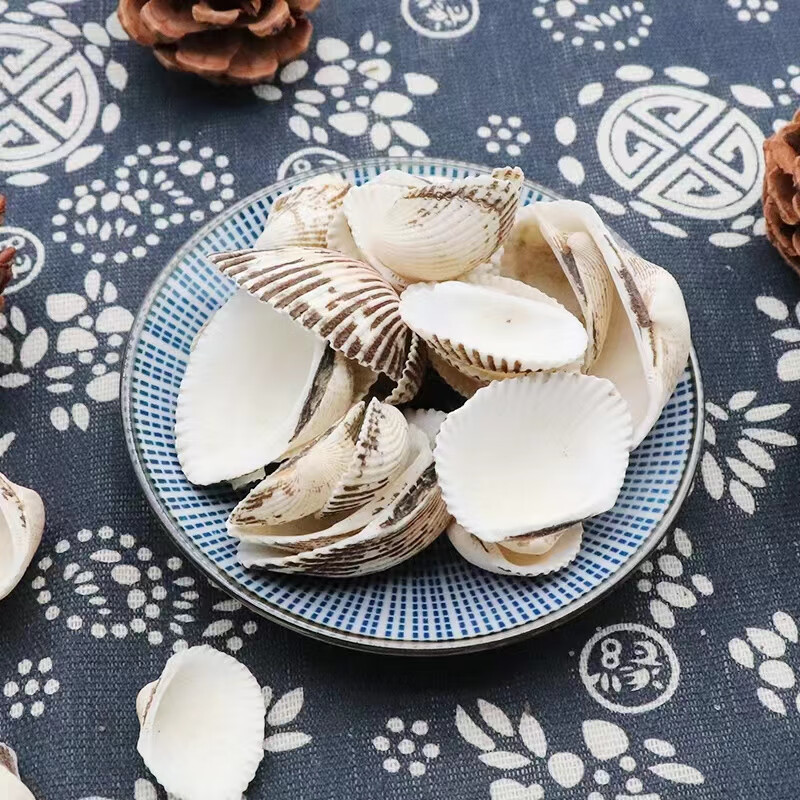 同仁堂（TRT）云南中药材瓦楞子500g精选特级天然无硫生瓦楞子干净可磨粉