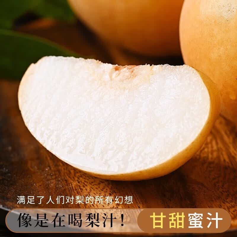 东鲜丰山东秋月梨礼盒冰糖梨脆甜梨子当季新鲜水果礼盒中秋送礼送人整箱 净重4.5斤【单果300g+】普箱