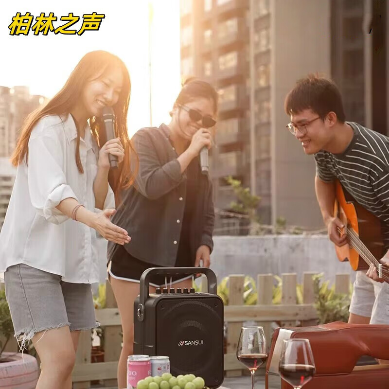 山头林村柏林之声户外便携款广场舞音响蓝牙新款音箱便携式话筒K歌一体机 旗舰版(500W大功率)充电话筒+耳