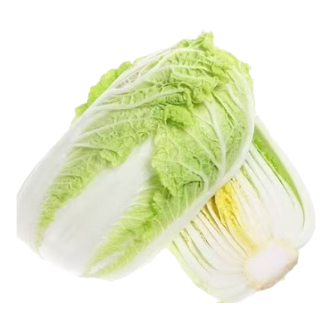 山东寿光大白菜黄心大娃娃菜农户现摘新鲜蔬菜原产地整箱批发 寿光白菜6斤