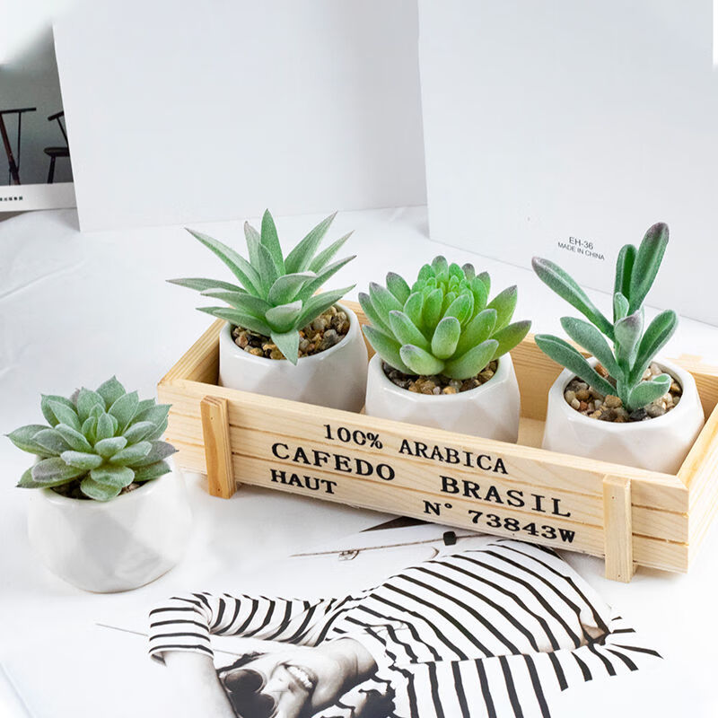 OYKTN仿真绿植假多肉植物仿真花家居书桌装饰迷你洞洞板桌面小摆件 鸭嘴芦荟（含盆）