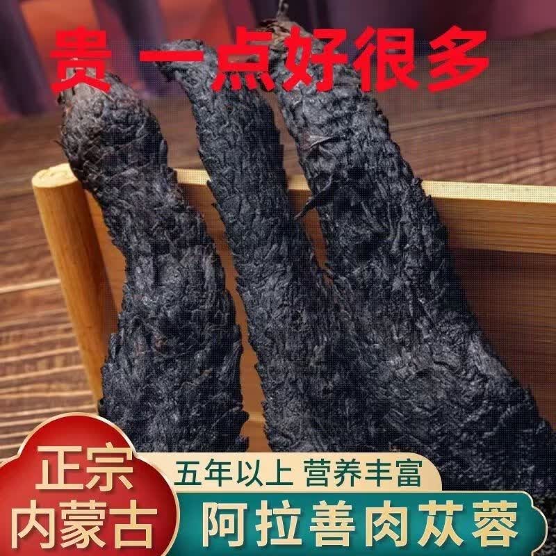 阿拉善肉苁蓉正宗阿拉善油苁蓉整根发货泡茶泡酒料肉松蓉整根正品肉丛蓉油从蓉 精选好货(一根)200克左右