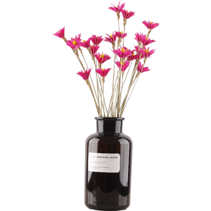 ݸɻ() ɻƿװ ֲɻ滨 Ҿӿװ õɫ10֧ƿ 12Ԫ