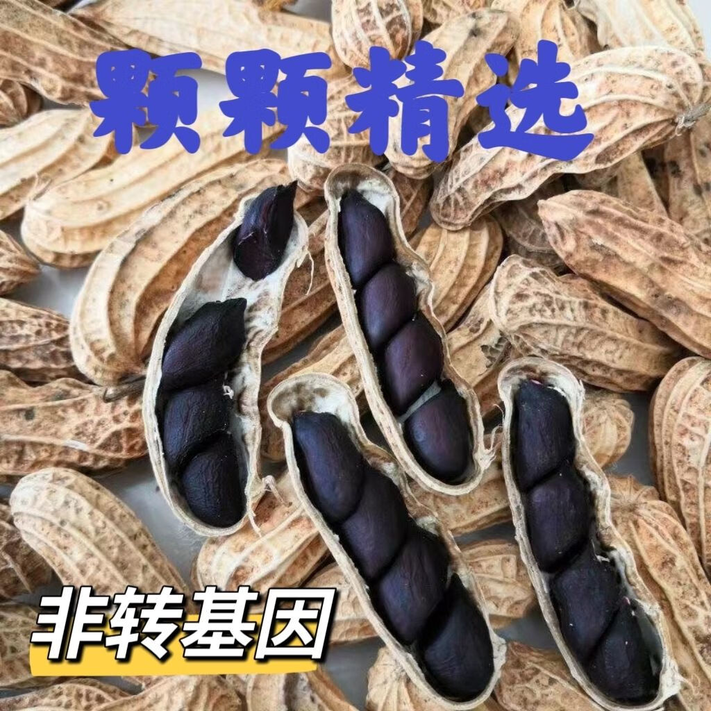 超底价】黑花生农家新货带壳花生花生米原味紫皮新鲜晒干黑皮批发 带壳黑花生+优选农家自种+地道口感 4斤