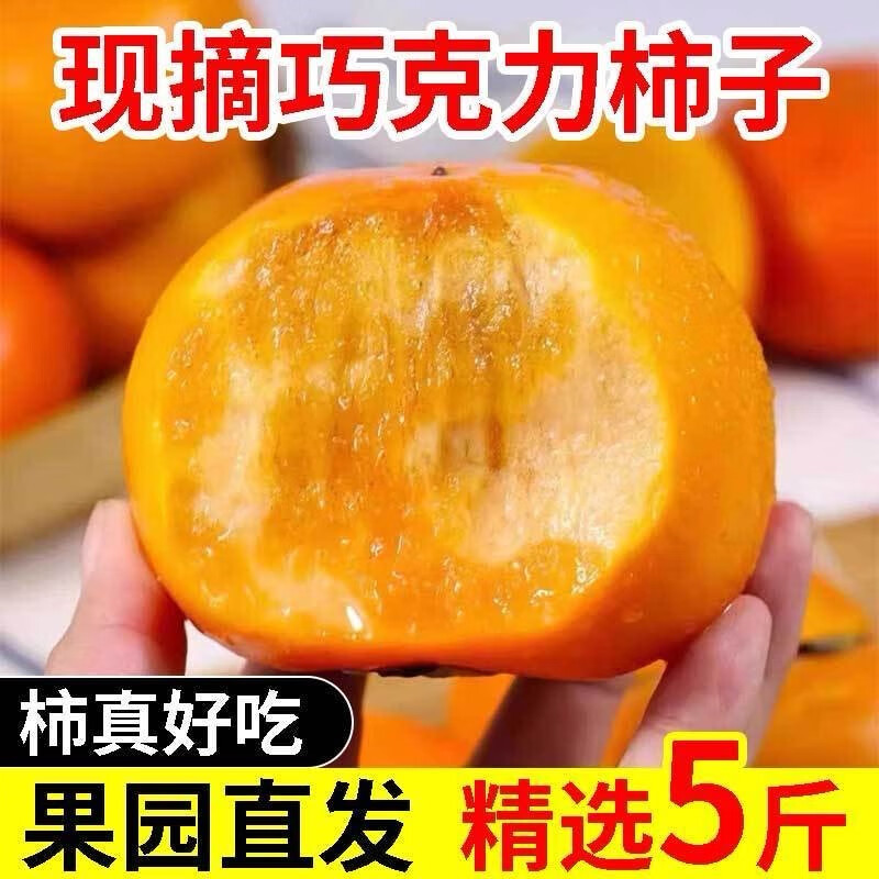 甜果源 阳丰脆柿子 巧克力硬柿子甜饼山西特产应季时令新鲜水果 净重4.5斤【单果120-150g】 早期脆柿子带黄带青,不影响口感