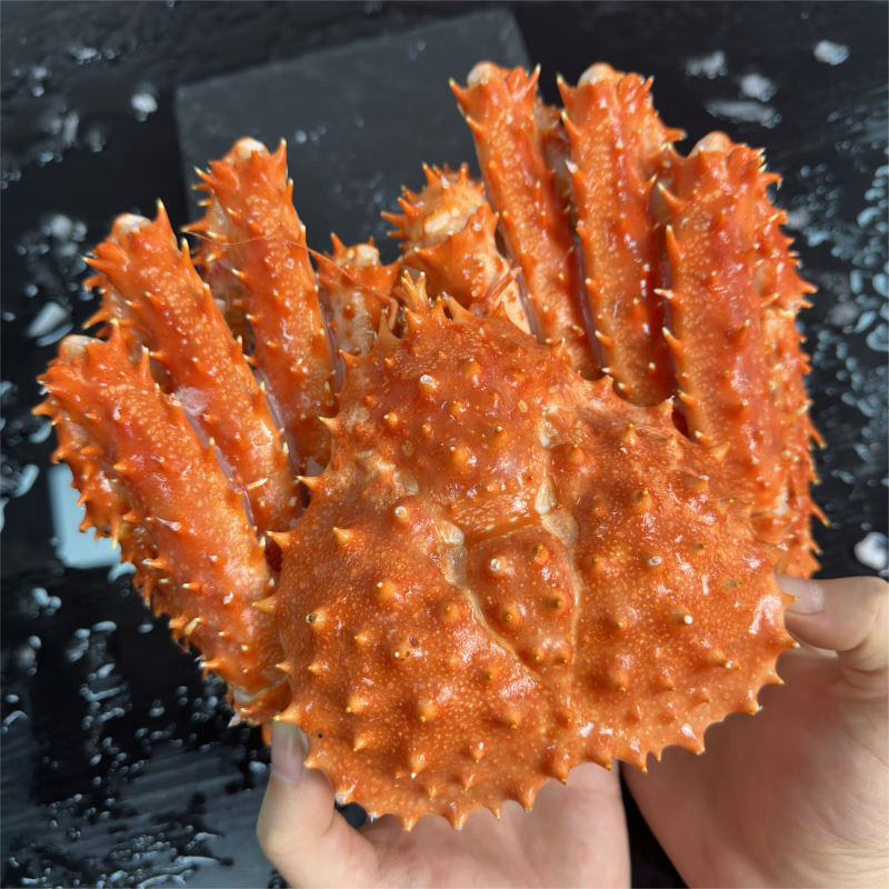 帝王蟹鲜活熟冻海鲜大礼包智利螃蟹帝皇蟹皇帝蟹年货礼盒送礼水产 帝王蟹2.4-2.8斤/礼盒装/肉多