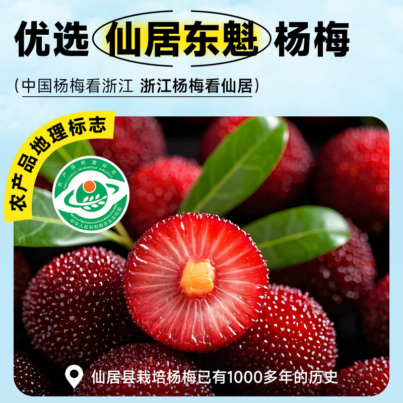 扬百利(yumberry)杨百利杨梅果汁鲜果鲜榨杨梅汁【66颗杨梅】酸甜果蔬汁大瓶1L装 66颗杨梅汁1L装*2瓶