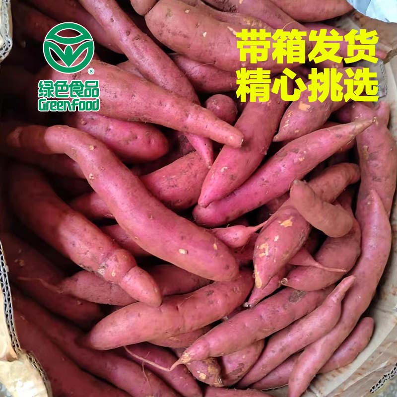 渠首红西瓜红蜜薯红心绿色食品认证 糖心烤番薯烤红薯同款地瓜软糯香甜 净重5斤 中果精选( 3-8两)