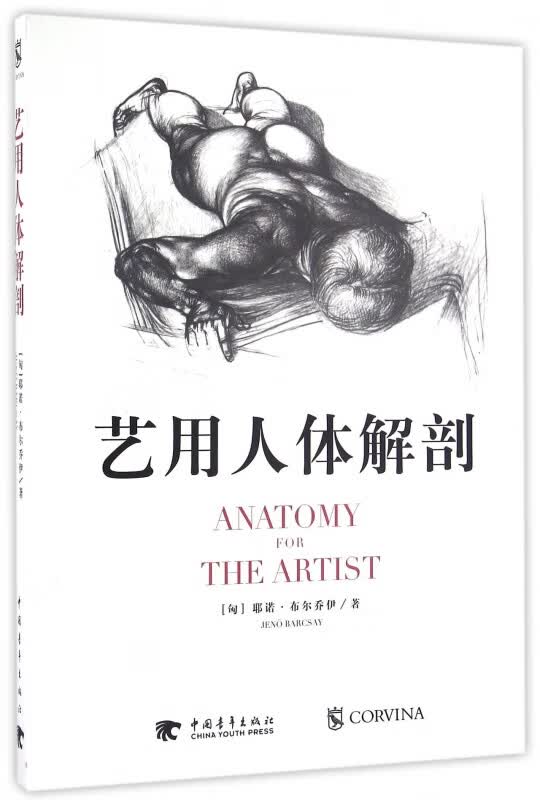 艺用人体解剖