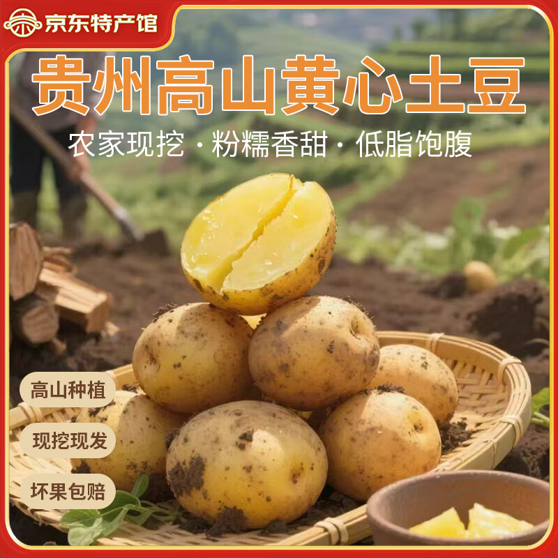 播州鲜新鲜土豆贵州特产高山马铃薯土豆黄皮黄心土豆农家自种蔬菜 黄皮土豆5斤 （净重）