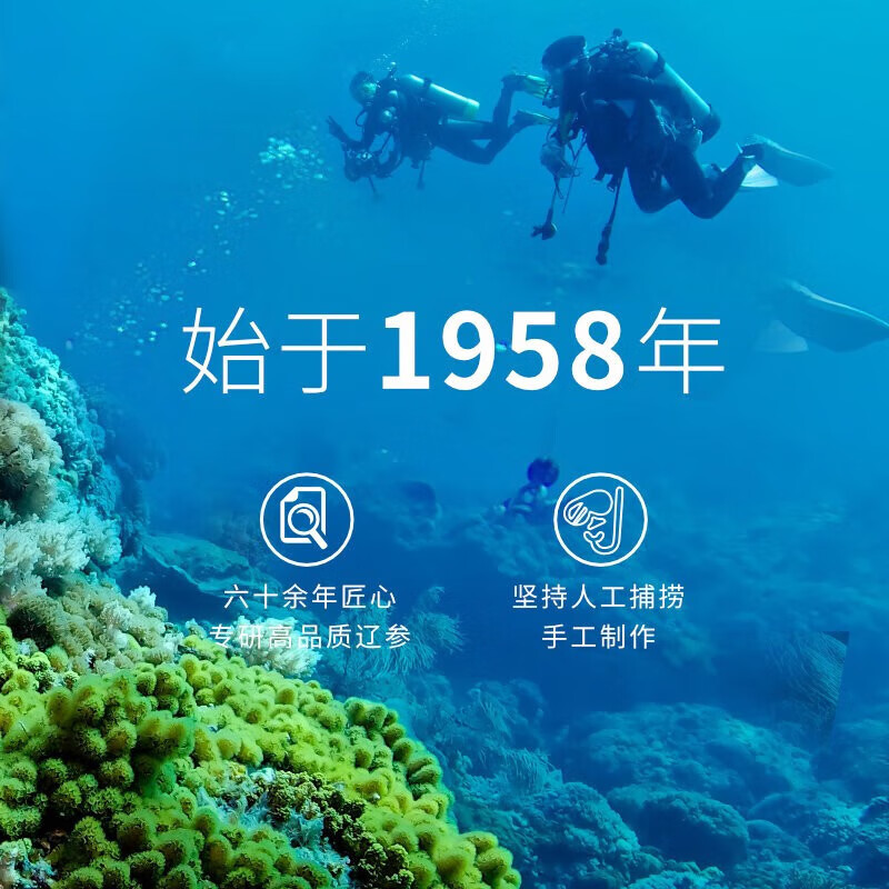 獐子岛即食海参礼盒大连辽刺参 底播海参冷冻缓化年货礼盒鲜食参冬冬 即食海参 1200g 21-30头