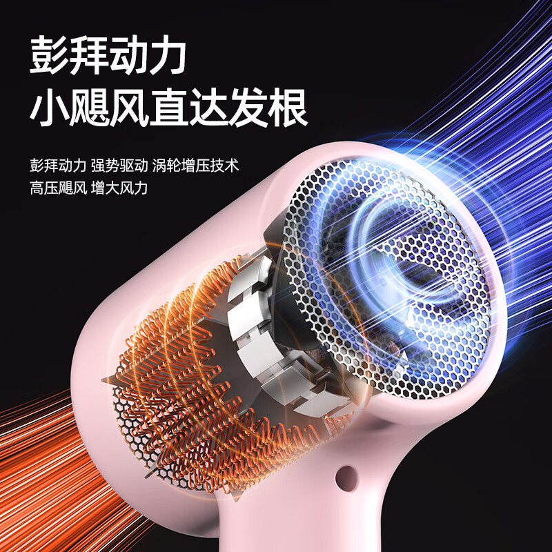 荣事达电吹风筒机家用非静音负离子吹风机大功率不伤发护发高速恒温速干风筒学生宿舍用 樱花粉-8亿负离子护发