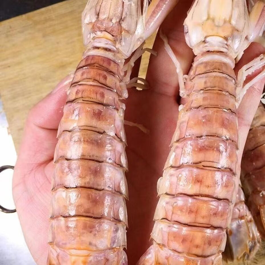 季节肥满肉皮皮虾熟冻虾爬子濑尿虾婆虾姑海鲜水产 熟冻皮皮虾(中公)3