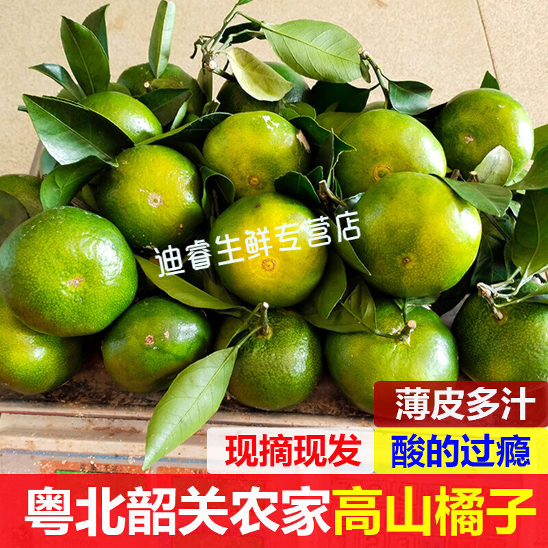 桃西村  正宗韶關(guān)蜜桔新鮮桔子無(wú)核早熟橘子酸甜薄皮孕婦當季水果整箱 5斤 【精選中大果】