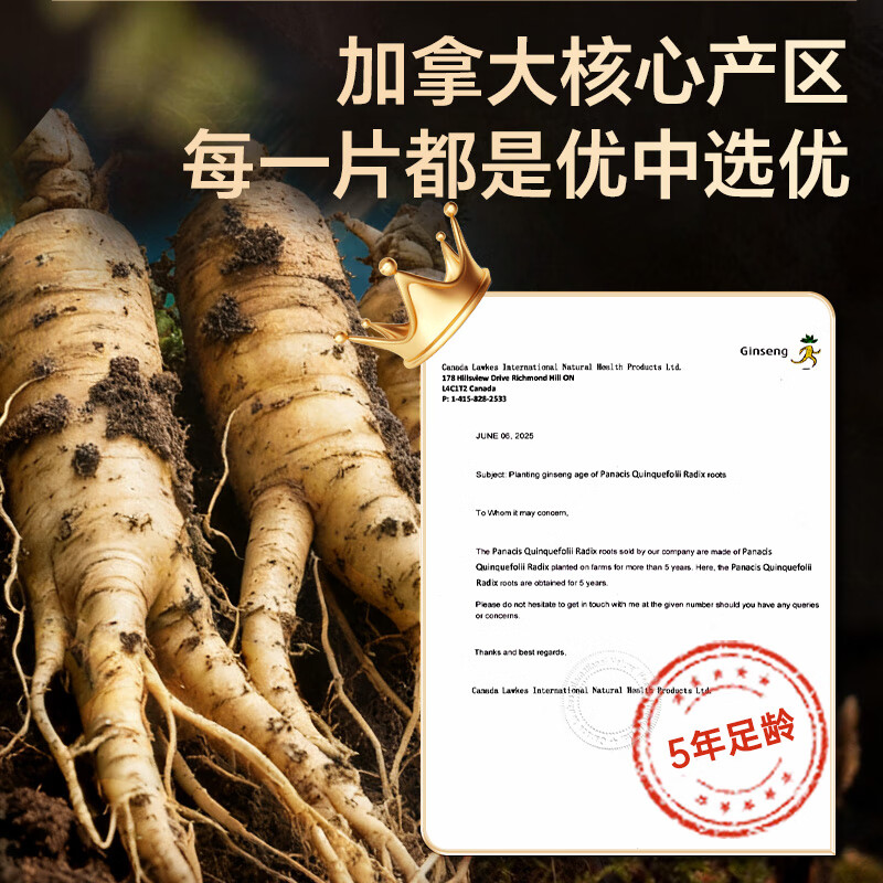 雷允上加拿大进口特级西洋参片花旗参片送长辈营养滋补品国庆节礼物 【店铺爆款*2】 100g*2罐 (2-3cm超大片)