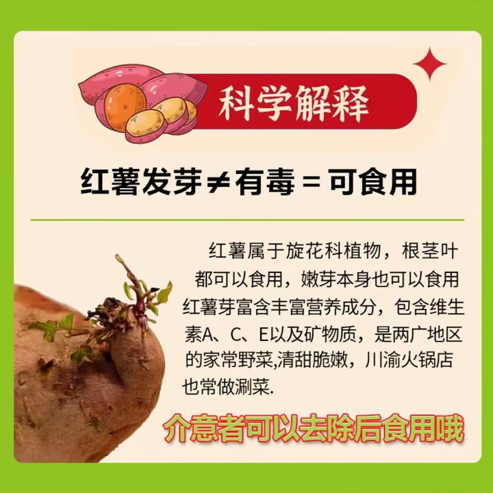 鲁禧山东哈密冰糖薯 白心番薯 软糯香甜 新鲜地瓜 根茎类蔬菜生鲜 【真便宜】精选中果净重4.5斤
