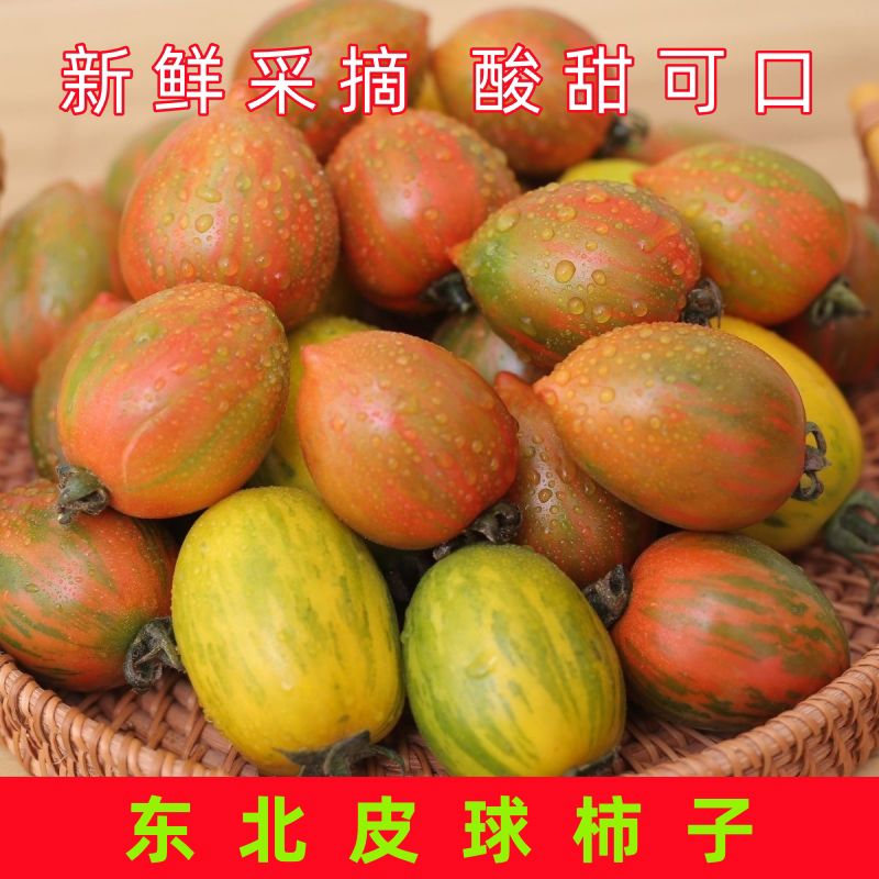 皮球柿子东北新鲜水果红黄虎皮小番茄新开园春桃柿子西红柿花皮球 2斤