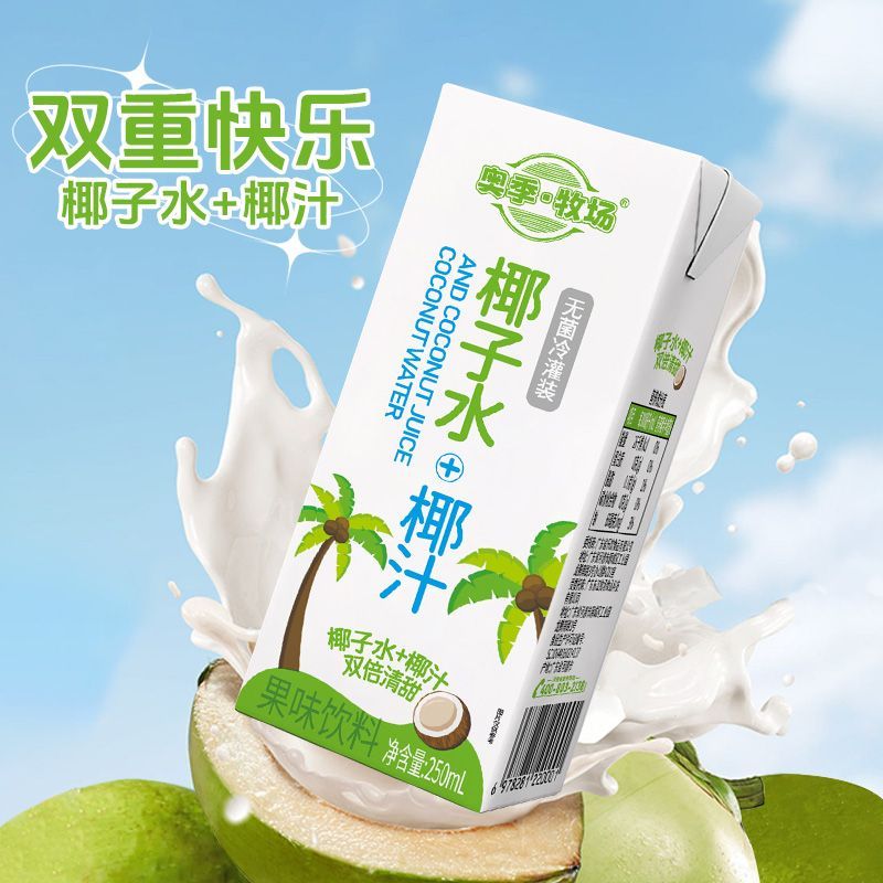 美意颂椰汁饮品250ml饮料椰子水+椰汁250ml*10盒清甜果味含糖饮料 250ml10盒【冷藏后口感更佳】