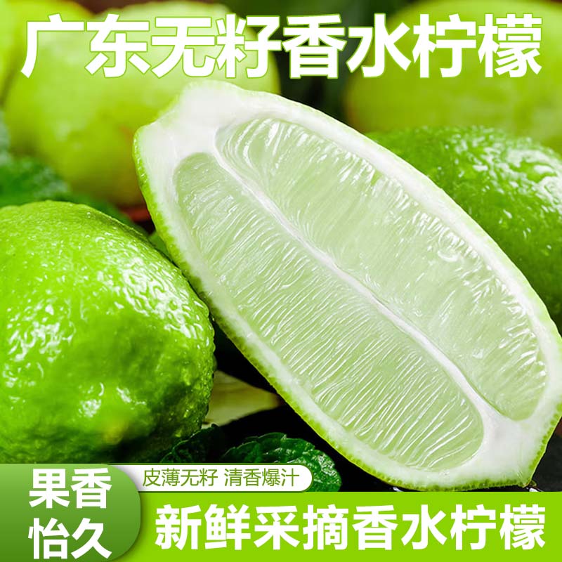 海南香水柠檬子弹头无籽青柠檬一级柠檬新鲜皮薄单果60g+ 香水柠檬3斤（单果60g+）
