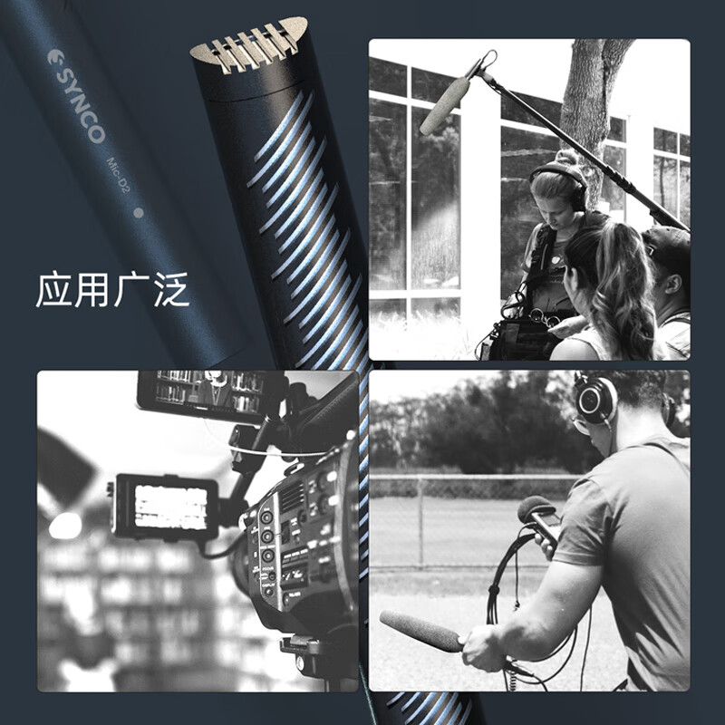 奉科(FENGKE)SYNCO D2指向性枪式麦克风主播采访微电影短视频挑杆收影视配音电脑收音麦话筒 D2标配+5米卡侬连接线