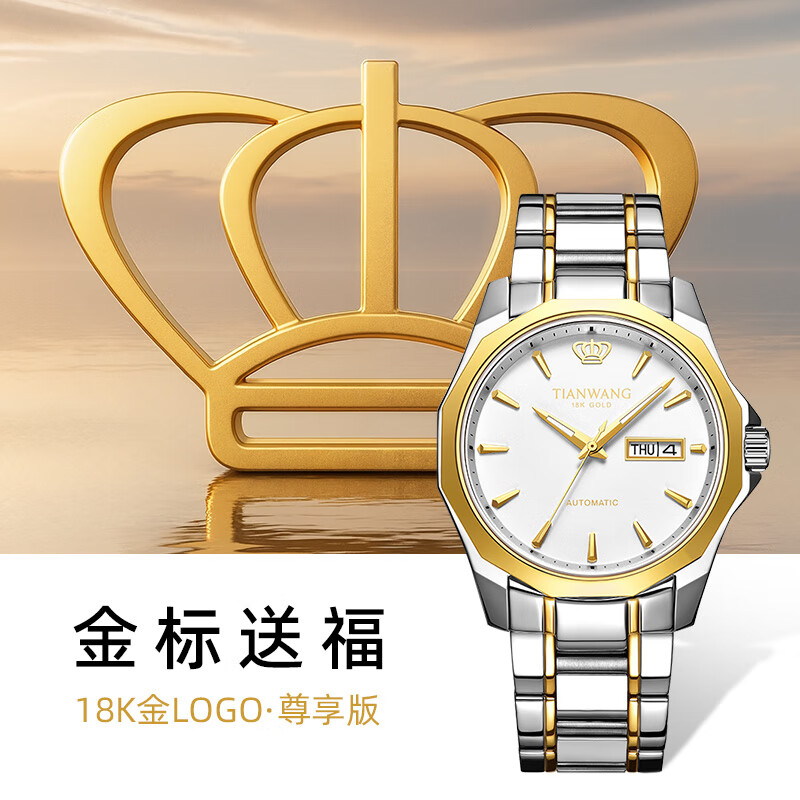 天王（TIAN WANG）男士手表 生日礼物金标送福18K金男表钢带机械GS51018T1.DD.T.KW