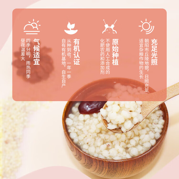 李小谷（LIXIAOGU）有機高粱米500克罐裝東北飯高粱(紅殼白高粱米大米伴侶) 有機甄禮6斤裝雜糧禮盒