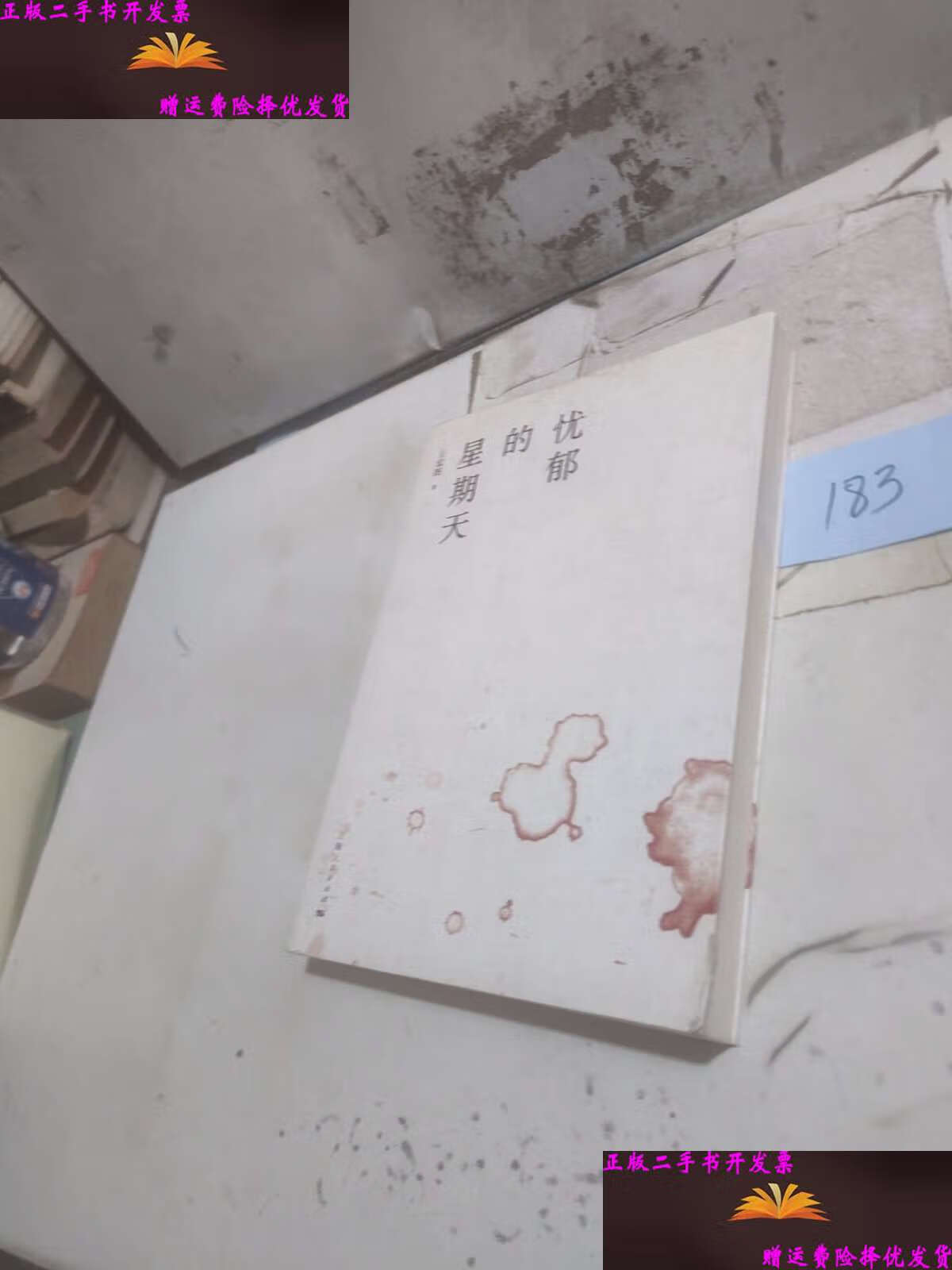 忧郁的星期天 /王宏图 上海人民