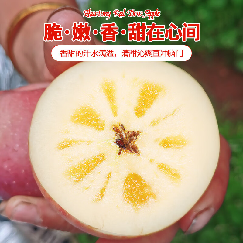 家佳供云南昭通红露苹果当季脆甜红富士冰糖心丑苹果新鲜水果包邮 5斤小果(单果55-70mm)