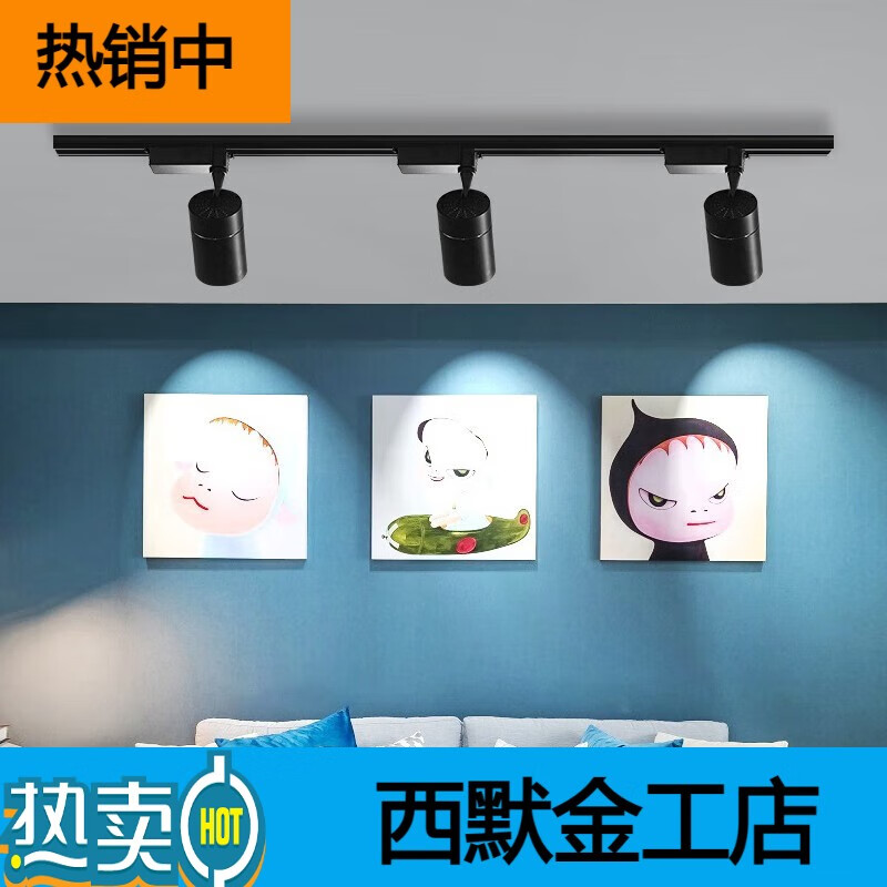 得焺 led軌道燈射燈服裝店商超展廳射燈家用電視背景墻明裝二線(xiàn)導軌燈 30瓦-下單備注外殼和色溫