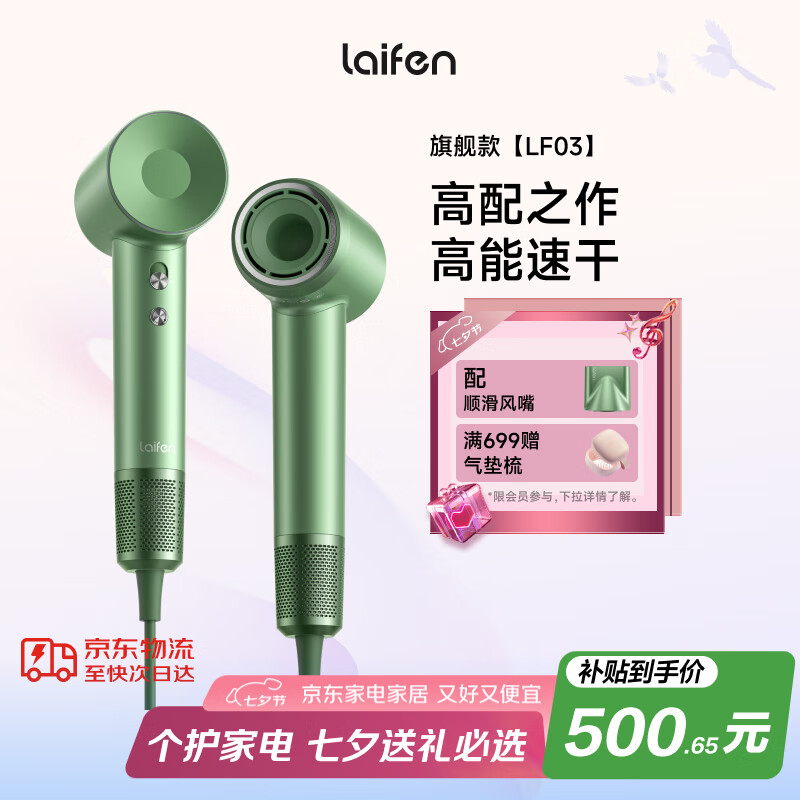 LEIFIN/��� LF03 ���¸����ӵ紵�� 1600W 2�ڸ����� ����