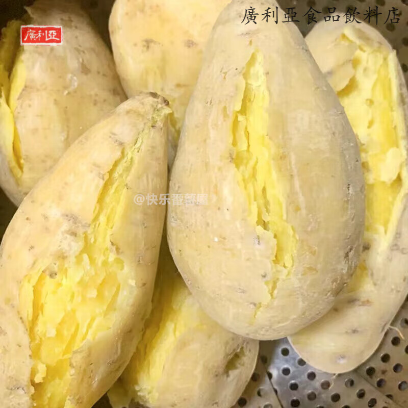 水果蔬菜广东潮汕白皮黄心板栗薯香甜粉糯现挖农家鸡蛋黄番薯地瓜 3斤 中果