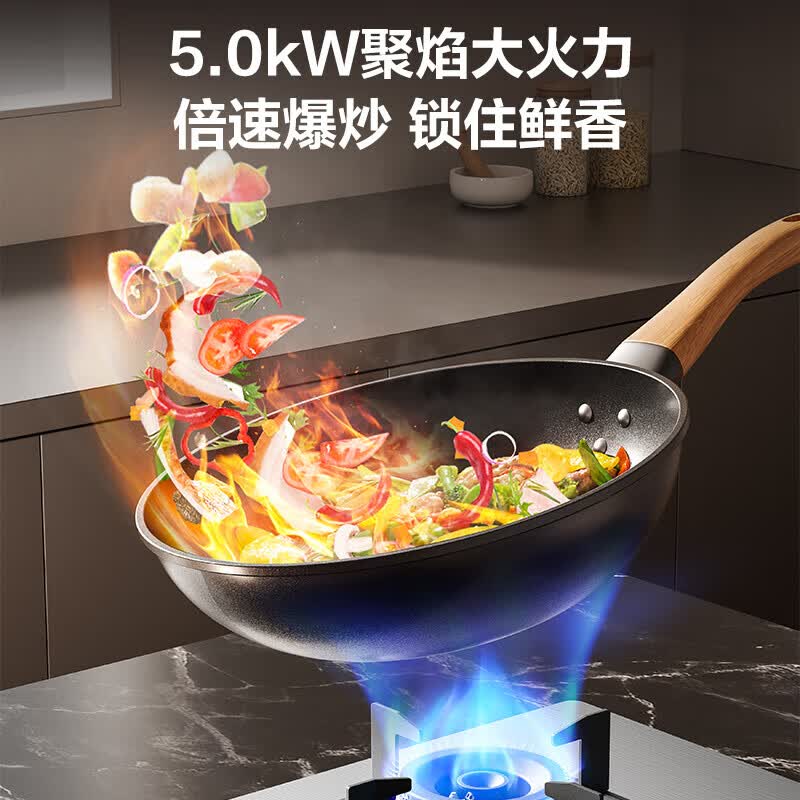 苏泊尔燃气灶具家用天然气灶不锈钢液化气灶双灶台式嵌入式煤气5.0KW猛火灶 双灶台式 NS21S 罐装液化气(20Y)