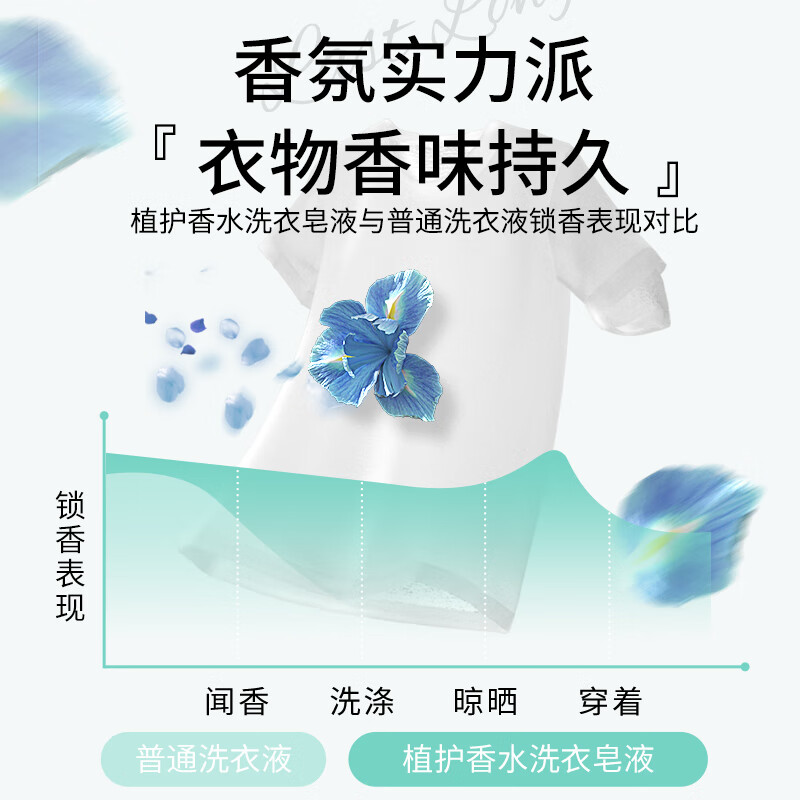 植护小苍兰香水洗衣液香味持久留香整箱批学生家用实惠装去污渍去异味 【8斤装】2KG*2瓶 实惠瓶装