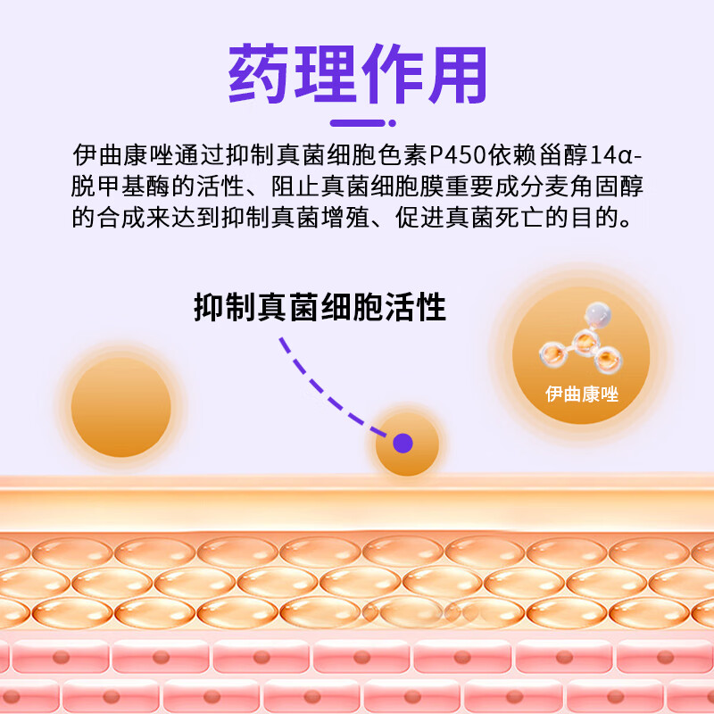 荣佳润伊曲康唑猫癣口服药猫癣狗癣马拉色菌犬小孢子菌真菌皮肤病专用药 伊曲康唑 10ml*1瓶 【送肝精口服液】