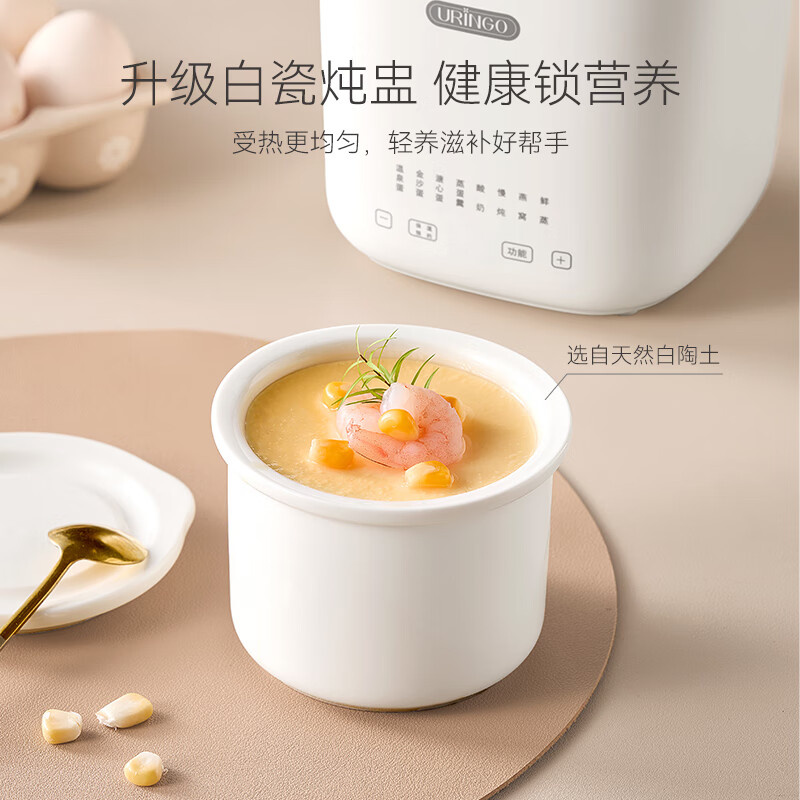 七彩叮当多功能迷你煮蛋器蒸蛋器家用小型可预约定时自动断电多功能炖蛋神器 单层 【304内胆】配炖盅+提蛋架