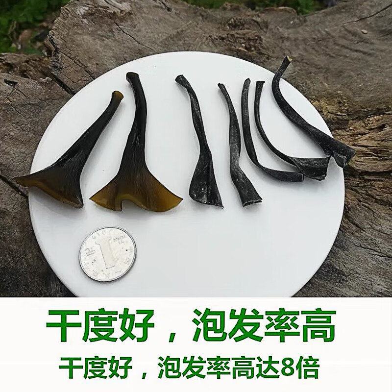 【短海带头】福建霞浦 日晒干货 特厚精品  特优食材 煲汤家用 500g 短海带头 煲汤凉拌