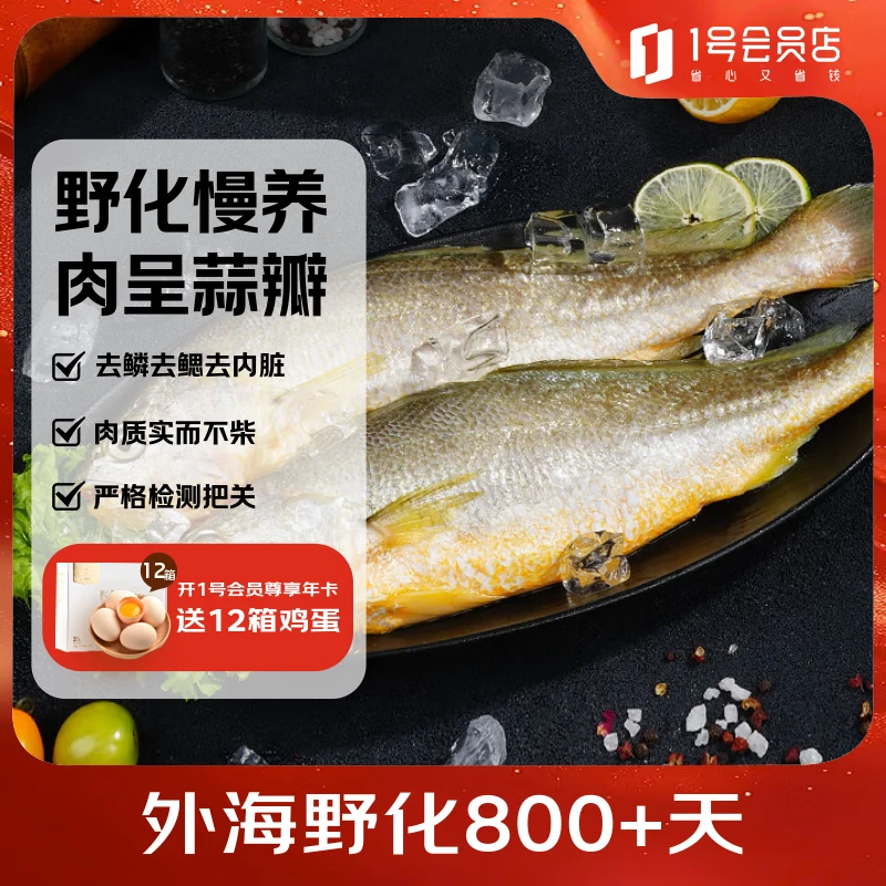 1号会员店 冷冻深海野化三去黄花鱼 宁德大黄鱼800g/2条装 盒装 生鲜鱼类