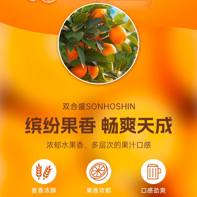 双合盛年货精酿缤纷啤酒礼盒送礼百年老字号 礼遇团圆 500*12罐