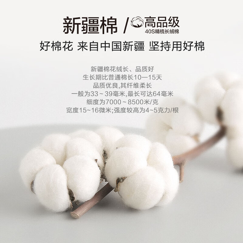 恒源祥男士纯棉抗菌保暖内衣冬季秋衣秋裤套装大码全棉毛衫男 大红【女款圆领】 XL /175/100