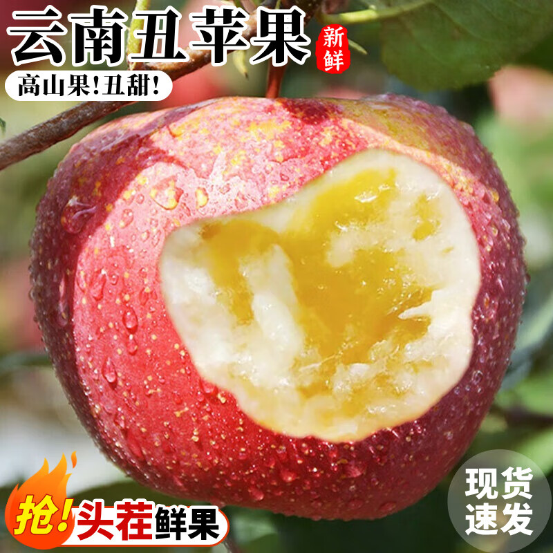 骑猴赶马新鲜云南丑苹果现摘当季昭通苹果整箱糖心苹果生鲜过节送礼丑苹果 净重4.5斤 热销推荐装-单果60-70mm