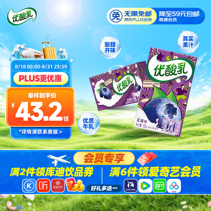 YILI/���� ������ ������ 250ml ��ݮ 24��