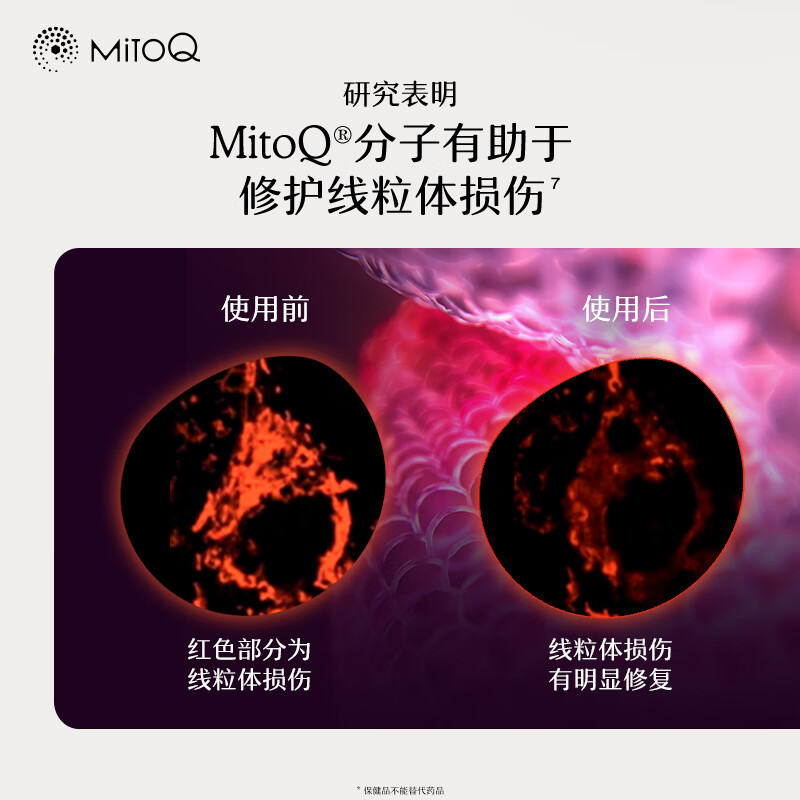 MitoQ姜黄素胶囊 专利姜黄Mito分子 养肝护肝增强免疫力调节肠胃 三瓶装