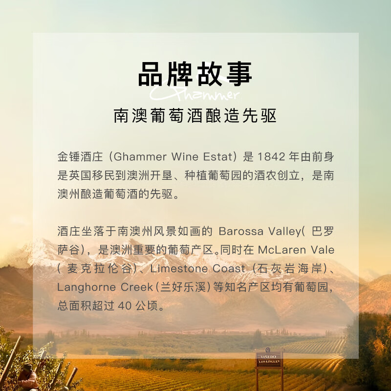 金锤大G干红葡萄酒澳大利亚原瓶进口高端红酒团圆聚会送礼礼盒整箱 整箱/6瓶装