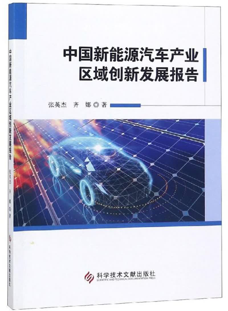 中国新能源汽车产业区域创新发展报告