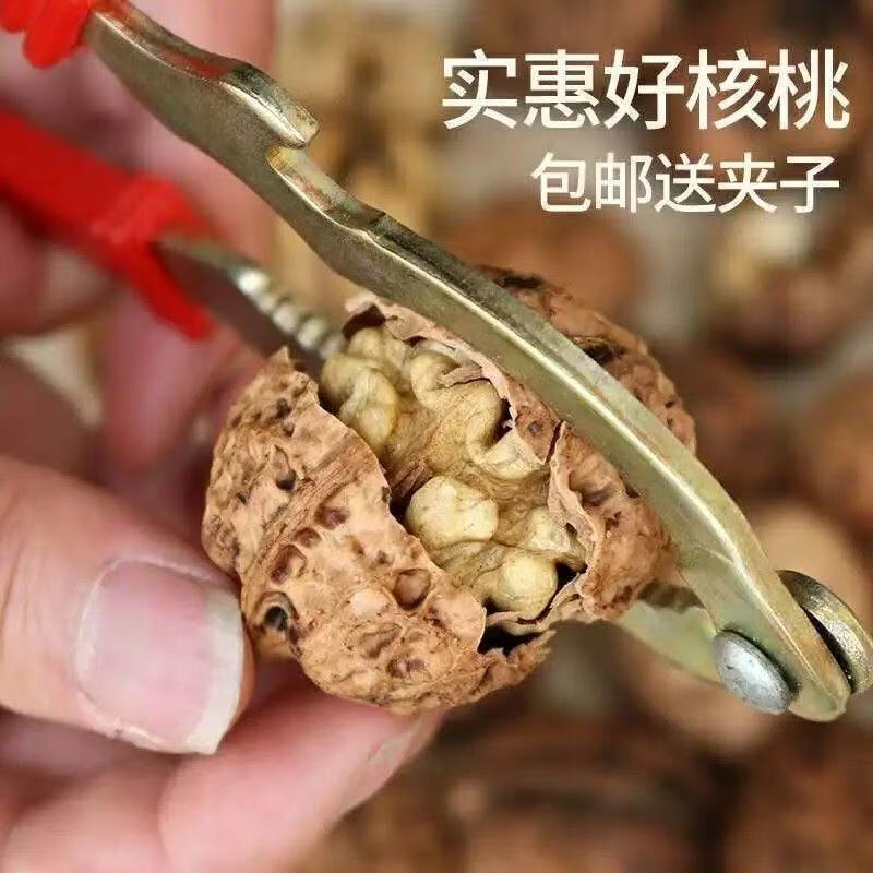 2025年云南薄皮核桃新货薄皮干核桃干果薄壳生坚果干货零食特产 6个核桃(运费贵)