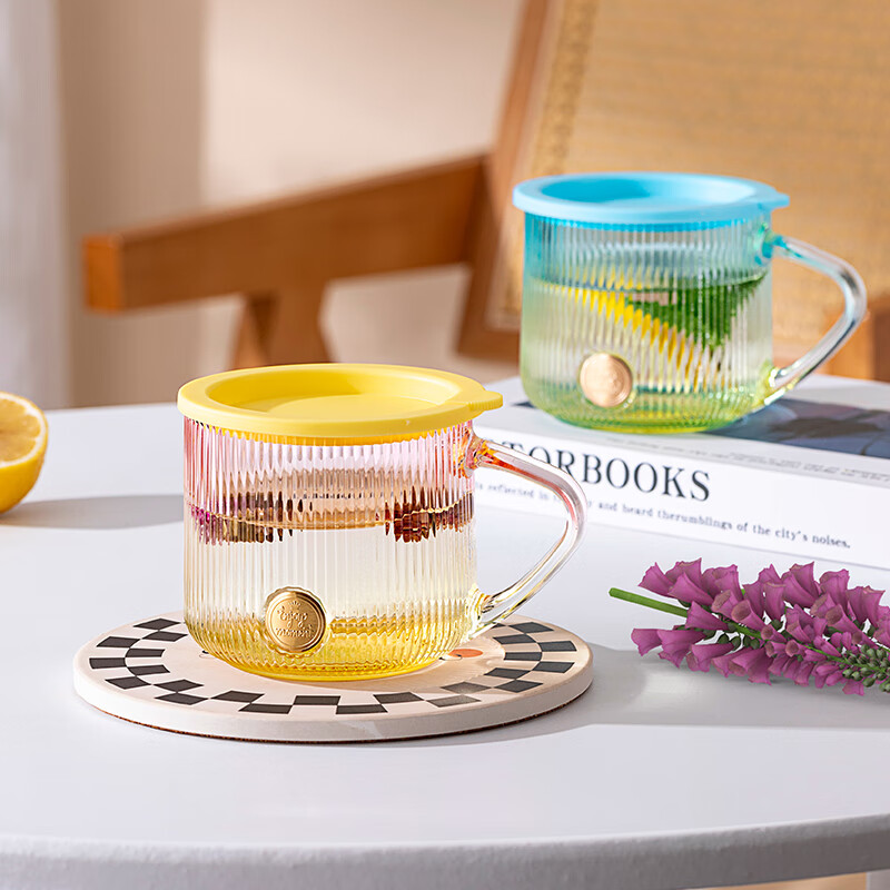 LOVWISHins风竖纹玻璃杯带把水杯家用饮料杯高颜值马克杯高级感咖啡杯子 乐映竖纹把杯【混色】350ml*2