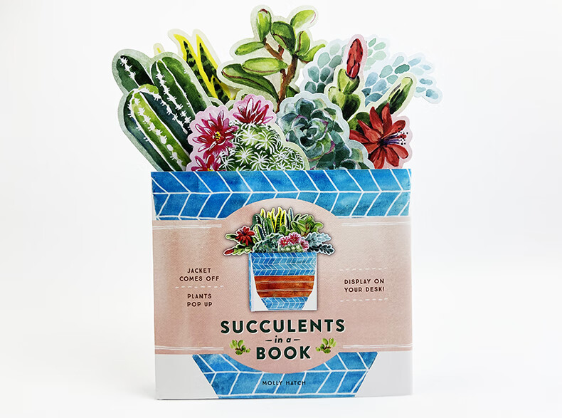 现货 英文原版【创意花盆礼品书】succulents in a book书中多肉 翻翻